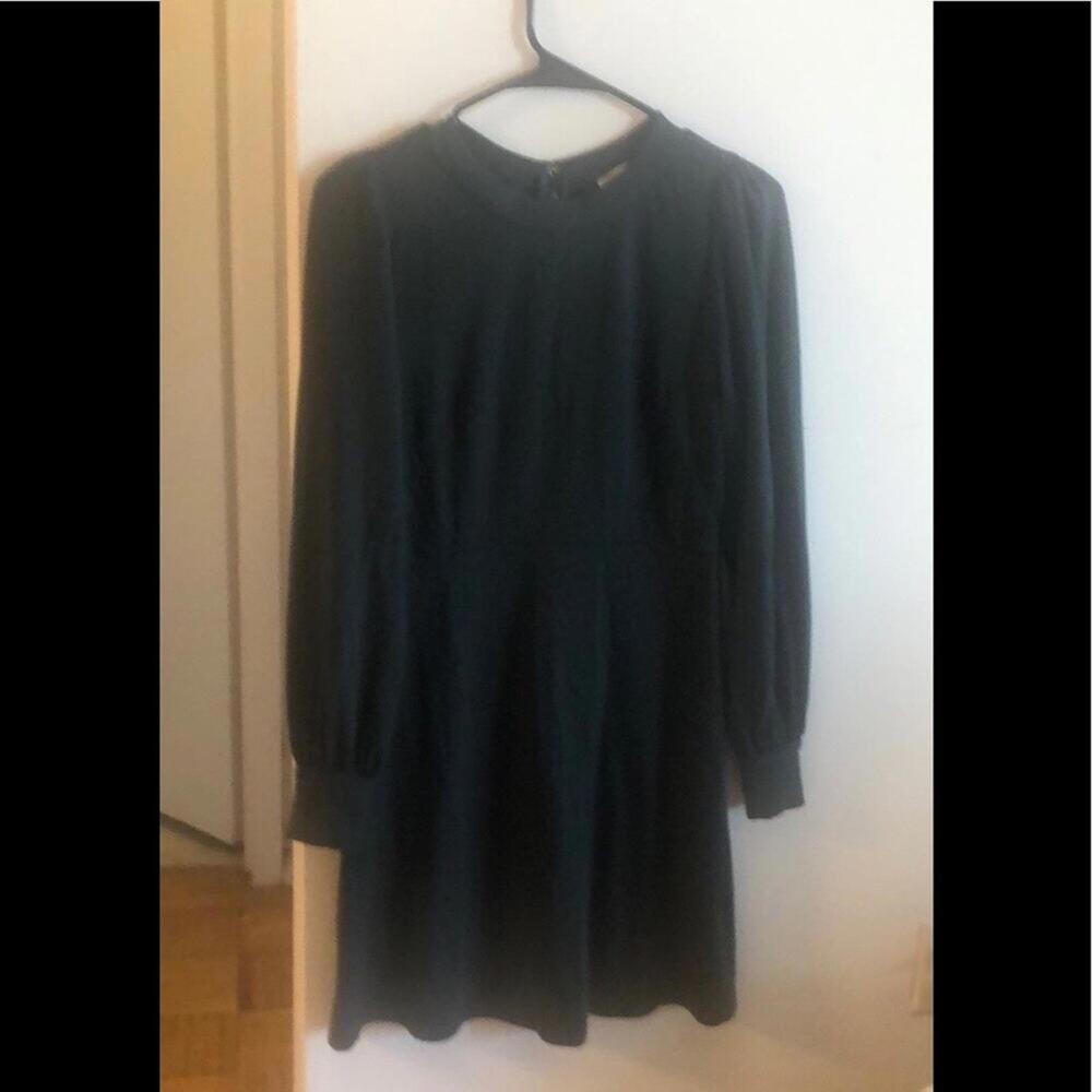 Classy Dark Green LOFT Dress with Long Sleeves